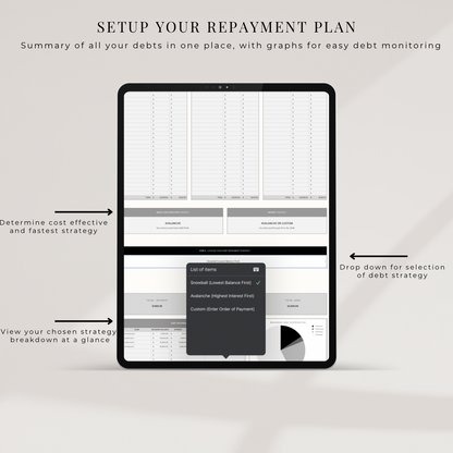 Budget Essentially Debt Dashboard