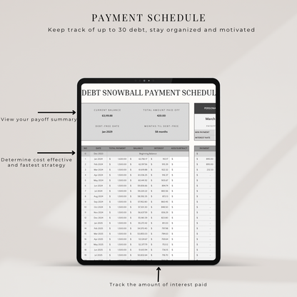 Budget Essentially Debt Dashboard